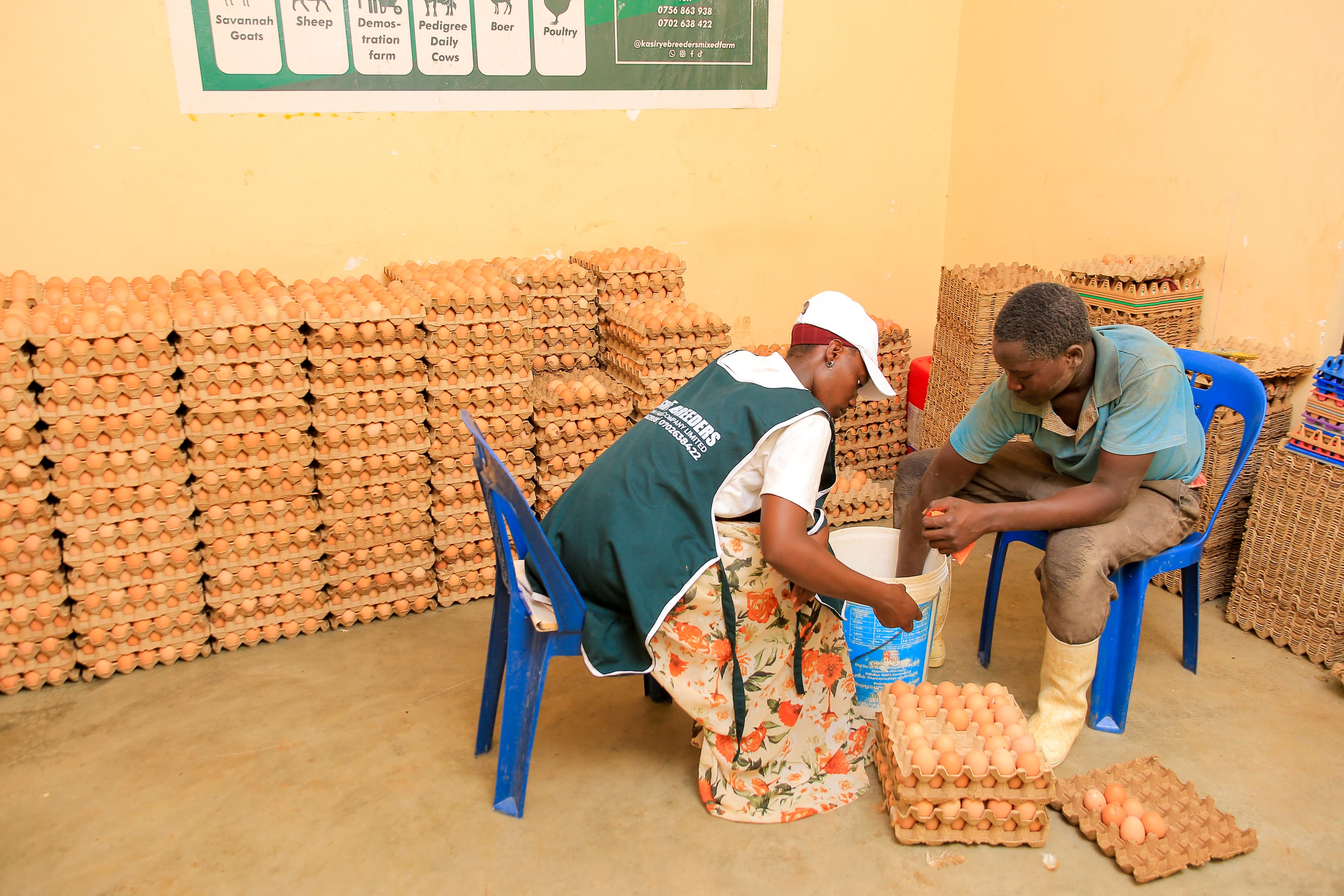 Farm-fresh products from Kasirye Breeders Mityana